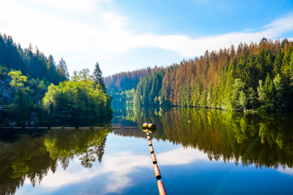 Harz: 5 Nächte im 3-Sterne S Hotel inkl. Halbpension nur 555€ (statt 964€) für 2 Personen