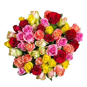 Rosen-Strauß RainbowRoses mit 41 bunten Rosen für nur 29,48€ (statt 45€)