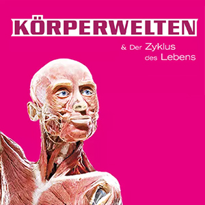 Tickets für die KÖRPERWELTEN Ausstellung in Köln-Ehrenfeld ab nur 15,75€ (statt 24,99€)