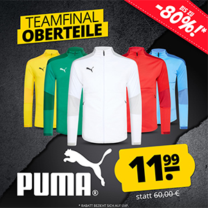 PUMA teamFINAL 1/4-Zip Training-Sweatshirt (XS-3XL, 7 Farben) für nur 16,94€ (statt 31€)