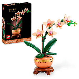 LEGO Botanicals Mini-Orchidee (10343) für nur 22,99€ – OTTO Up