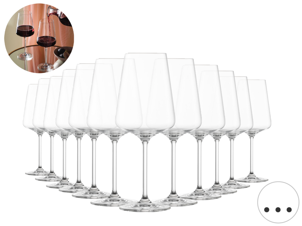 12x Schott Zwiesel Passionata Rotweinglas