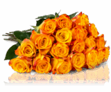Miflora! Strauß mit 25 orange-gelben Rosen nur 17,90 Euro inkl. Versand