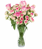 Mit Gutscheincode einen schönen Strauß aus 15 Rosen für nur 16,90 Euro inkl. Versand (normal 26,- Euro)