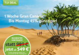 [TUI] Freitags-Deal! 1 Woche Gran Canaria mit Flug im 4**** Hotel Riu Palmeras inkl. Halbpension für 549,- Euro (normal 989,-)
