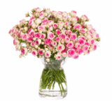 Bijou Rosen-Rallye! Jetzt 65 Bijou Rosenblüten für nur 17,90 Euro inkl. Versand