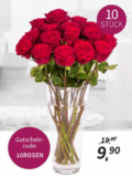 Tipp! Rosenkavalier – 10 Rote Premium-Rosen für Kavaliere für nur 15,80 Euro inkl. Versand