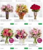 „Alles muss raus“ Aktion bei Miflora! Von 19 bis 22 Uhr gibt es 50% auf alles – nur so lange der Vorrat reicht