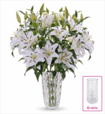 Blumenstrauß mit 20 weiße Lilien für nur für nur 24,98 Euro + gratis Vase