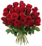 31 rote Rosen (50cm Länge) für nur 20,94 Euro inkl. Lieferung