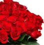 Blumenstrauß ClassicRed mit 44 roten Rosen für 32,48€ (statt 44€)