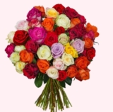 Blumenstrauß mit 42 bunten Rosen „Crazy Colors“ für nur 23,94 Euro inkl. Versand
