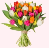 47 bunte Tulpen für 22,94 Euro inkl. Zustellung bei Blumeideal