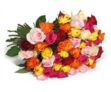 Blumenstrauß „RoyalRoses“ mit 50 bunten Rosen nur 24,98 Euro inkl. Versand bei Blumeideal