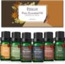 ESSLUX Spicy Ätherische Öle Set ab 6,99€ (statt 13,99€) mit Prime Versand