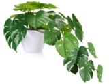 Monstera Deliciosa Künstliche Pflanze für nur 21,41€ (statt 23,79€)
