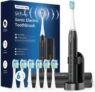PHYLIAN PRO Elektrische Schallzahnbürste mit 6 Ersatzbürsten für 14,99€ (statt 29,99€)