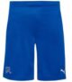 Schweiz PUMA Herren Trainings Shorts für nur 13,98€ (statt 16€)