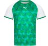 PUMA Herren Handball Trikot für nur 12,94€ (statt 30€ )