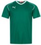 PUMA V5.08 Herren Trainings Trikot (XS-XL) für nur 11,98€ (statt 20€)