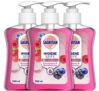 3x 250 ml Sagrotan Handseife Brombeere & Waldfrüchte im Spar-Abo für nur 5,21€ (statt 7,35€)