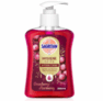 6x 250ml Sagrotan Handseife Cranberry Limited Edition für 9,36€ (statt 11,70€) im Spar-Abo