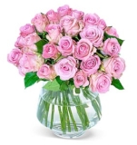 Strauß mit 37 pinken Rosen (40cm) für 25,98€ inkl. Versand (statt 42€)