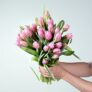 Tulpen in Rosa (30 Stiele) für 10€ inkl. Versand