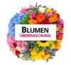 Blumenüberraschung – Überraschungs-Blumenstrauß für 24,98€ (statt 36€)