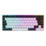 Sharkoon Skiller SGK50 S3 RGB Gaming Keyboard für 61,52€ (statt 78€)