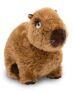 Zum Knuddeln: 27cm NICI Capybara Kuscheltier für 11,60€