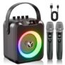 Karaoke Maschine mit 2 Mikrofonen für 48,99€ bei Amazon