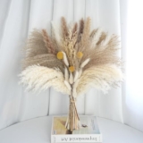 Elegantes Pampasgras Bouquet für nur 9,59€