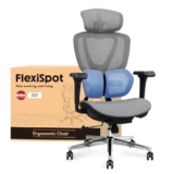 FLEXISPOT Ergonomischer Bürostuhl mit Dual Wing Lendenstütze für 209,99€