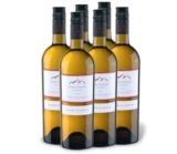 Knaller! Weinschnäppchen! 6er Kiste Vineris Pedro Jimenez bei Lidl nur 6,87 Euro