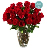 22 Hot Blood Rosen für nur 20,80 Euro inkl. Versand