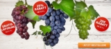 Weinvorteil Gutscheincodes! 1x Gratislieferung, 1x 25% Rabatt und 1x 20,- Euro Rabatt – auch bei reduzierten Weinen
