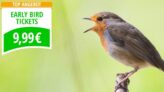 Für 9,99 Euro durch Europa – Early Bird Tickets bei Flixbus