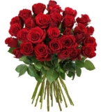 Blumeideal: 28 rote Rosen (50cm Länge) für nur 19,94 Euro inkl. Versand