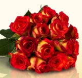 Blumestrauß Joyful Orange mit 20 orangenen Catsh Rosen für nur 16,80 Euro inkl. Versand