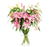 12 langstielige pinke Lilien (ca. 60-70cm lang) für nur 17,94 Euro inkl. Versand