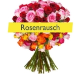Wolle Rose kaufe!? 44 Rosen in mindestens zwei Farben oder mehr mit 50cm Länge nur 23,94 Euro inkl. Zustellung