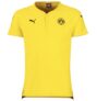 Nur der BVB!? Puma Borussia Dortmund T-Shirts, Shorts, Hose und Stutzen nur 14,99 Euro inkl. Versand