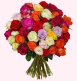 Strauß mit 41 bunten Rosen „CrazyLOVE“ für nur 23,94 Euro inkl. Lieferung