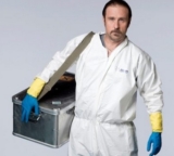 Von allen Tieren hat der blaue Wal das allergrößte Genital