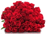 44 Rosen „Classic Red“ für nur 24,98 Euro inkl. Zustellung