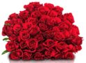 44 Rosen “Classic Red” für nur 24,98 Euro inkl. Zustellung