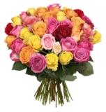 Strauß mit 45 bunten Rosen (50cm Stiellänge) für nur 24,98 Euro inkl. Versand