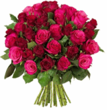 Strauss mit 45 RomanticRoses mit 50cm Länge nur 24,98 Euro inkl. Zustellung