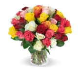 Blumenstrauß Crazy in Love mit 35 bunten Rosen für nur 25,98€ inkl. Lieferung